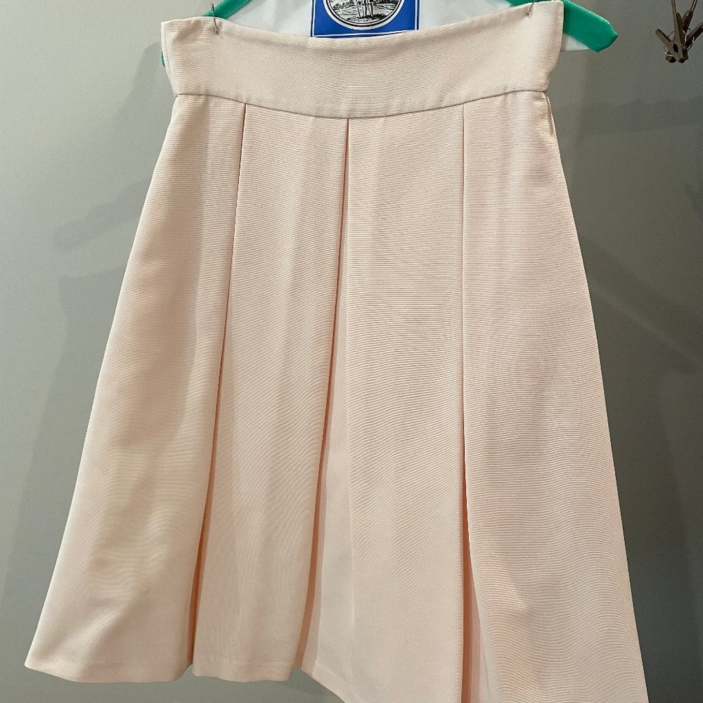 Anthropologie Light Pink A-Line Full High Waist Skirt Women's size 4